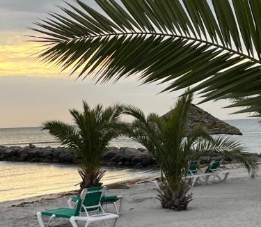 Frederikshavn House | Palm Beach