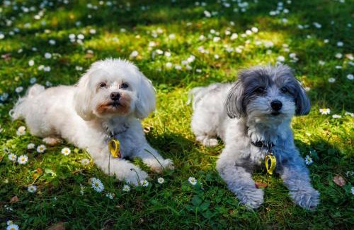 Ostend Bed & Breakfast | Palm Beach Waiheke Tranquil B&B