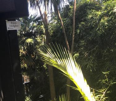 Palm Beach Apartment | Palm Heights