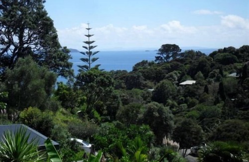 Palm Beach House | Palm Tree House- Romantic Hideway