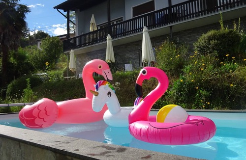 Orselina Apartment | Palm trees, Pool and Panorama: Casa Belsito, Orselina, on Lake Maggiore