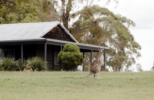 Pokolbin Cabin | Palmers Lane Estate Hunter Valley