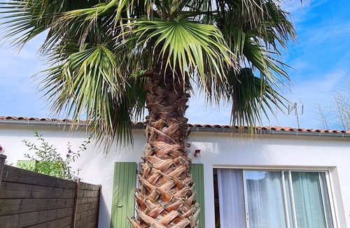 Le Bois-Plage-en-Re Apartment | PALMIER * studio with garden and parking