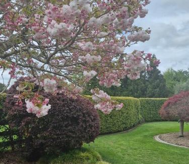 Tamahere House | Palms on Bruntwood