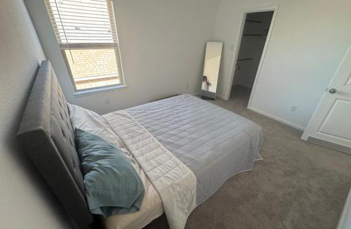 Rosenberg House | Paloma Falls Guesthouse