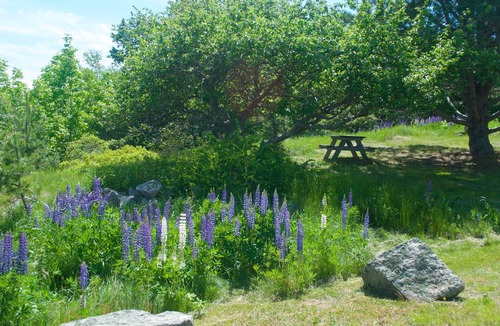 Hall Quarry House | Panaramic Somes Sound Ocean and Mountain View