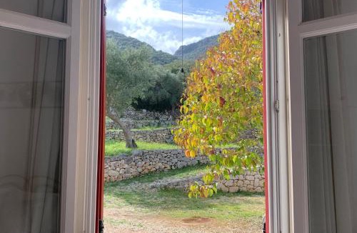 Aetos Apartment | Pandora Villa