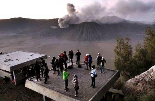 Tosari House | Pandya Bromo Homestay