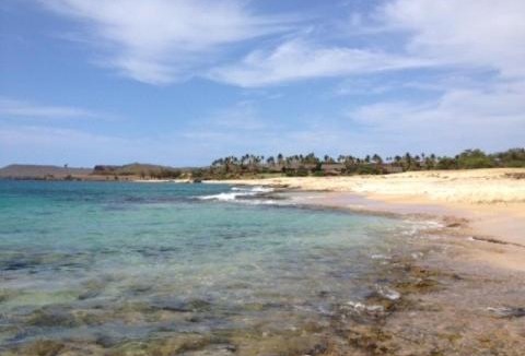 Maunaloa House | Paniolo Hale