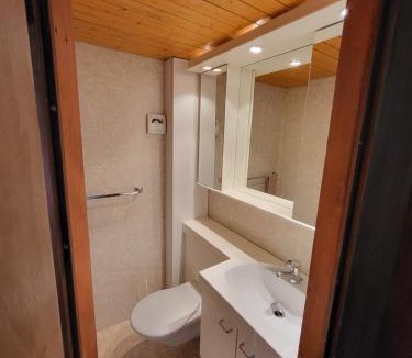 Beatenberg Ski Chalet | Panorama Chalet Lilo Cozy Chalet with Incredible Mountain Panorama