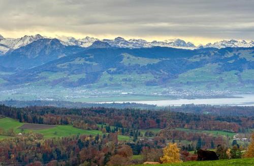 Hinwil Ski Chalet | Panorama-Chalet Unterbach