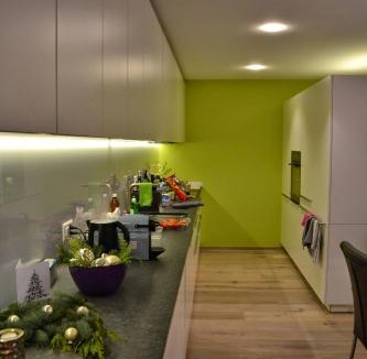 Engadin Scoul Apartment | Panorama Lodge