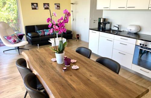 Goldiwil Apartment | Panorama Lodge Goldiwil