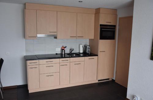 Les Mayens-de-Sion Apartment | Panoramachalet