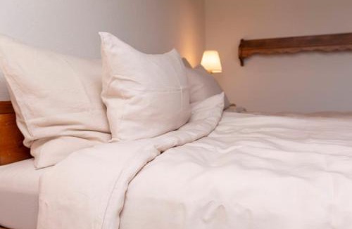 Horgen District Apartment | Panoramic apartment with charming swiss interior