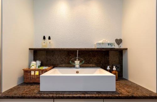 Horgen District Apartment | Panoramic apartment with charming swiss interior