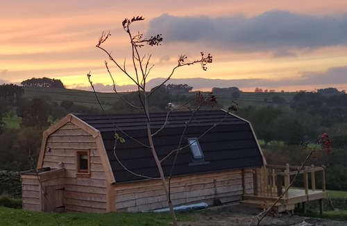 Allendale Other | Panoramic Pods