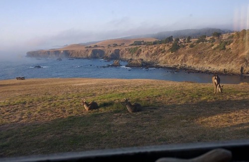 Albion House | Panoramic WhiteWater Oceanfront CliffTop:Headlands/Cove/Ocean Vistas