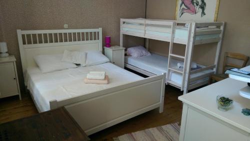 Beli Bed & Breakfast | Pansion Tramontana Eco Stay & Sea View in Beli, Cres