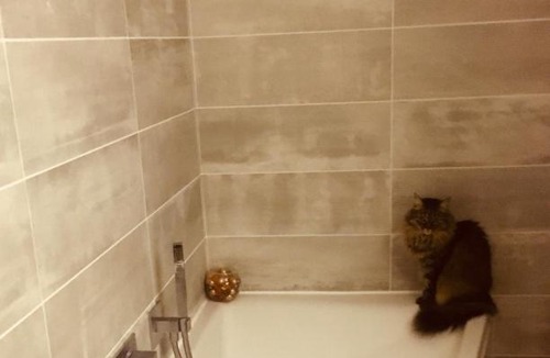 Saint-Michel-sur-Rhone Villa | Paradis