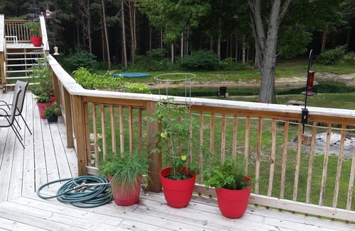 Norton Shores Apartment | Paradise Cove Main 5 Br/2 Baths ~ Sleeps Up To 24 ~ Pond, WIFI, Central AC.
