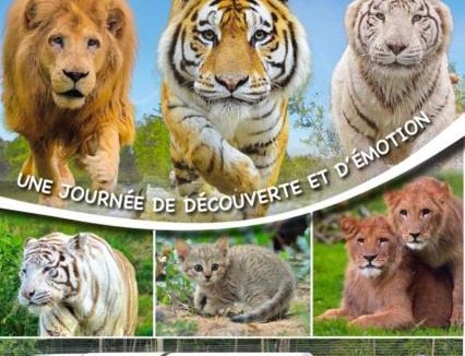 Favieres Bed & Breakfast | Paradise