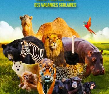 Favieres Bed & Breakfast | Paradise