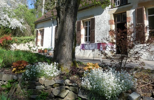 Chantelle Other | Paradise in a green setting