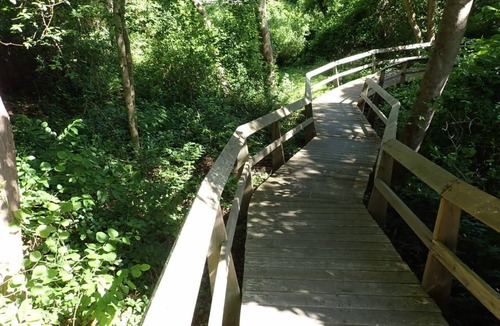 Cherry Grove Boat Rental | Paradise on the Great South Bay