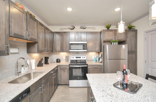 Spring Branch East Apartment | ✵Paradise Parkway✵| Home ⮕ Galleria w/Pool-Gym