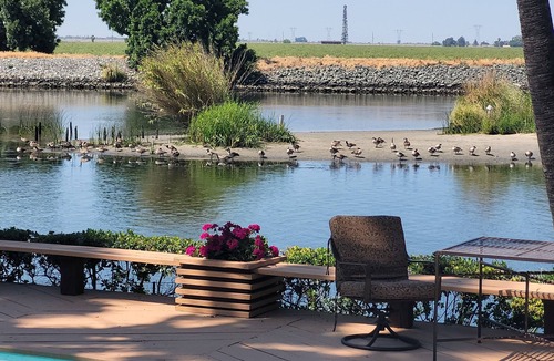 Discovery Bay House | Paradise Point. 1 minute to fast water and a beach! Pool, Spa, Dock. Sleeps 10