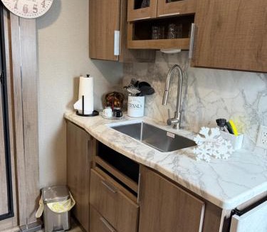 Tampa Apartment | Paradise