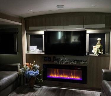 Tampa Apartment | Paradise