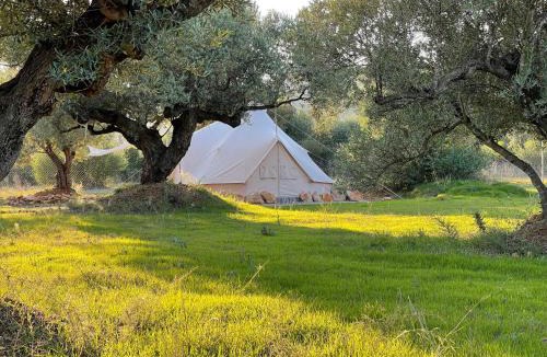 Tortosa Other | Paraiso Bell Tent - Glamping with Pool in Nature
