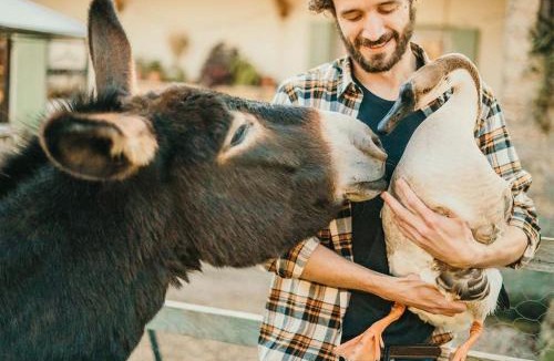 Les Hays House | Parcel Tiny House I L'Arche des Hays