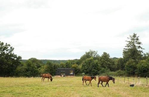 Bretoncelles Ski Chalet | Parcel Tiny House Mainteloup dans le perche Normand