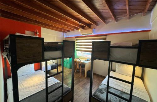 Avenida Revolucion Hostel | Paris Hostel