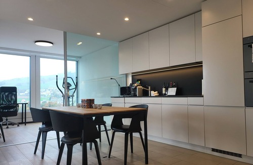 Zug Apartment | Park Tower City View Apartments