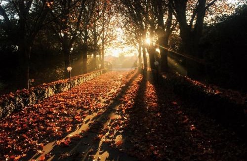 Haumoana House | Parkhill Lodge Villa