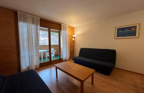 Vionnaz Apartment | Parking plus terrasse pour 4 personnes au ski