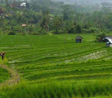 Sidemen Hotel | parkir