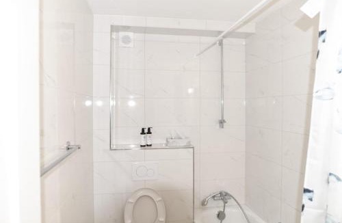 Alt-Wiedikon Apartment | Parkside & Peaceful Near Google & Paradeplatatz