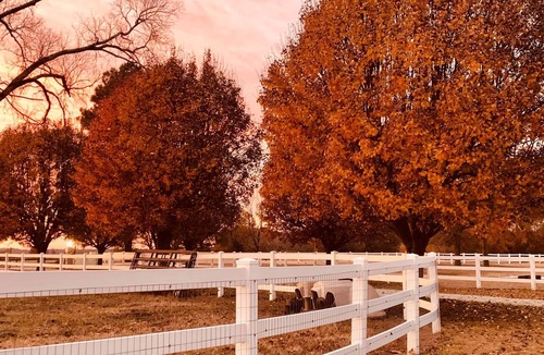 Parkton House | Parkton Place, "where you are kind of a big deal!" For weddings and events.