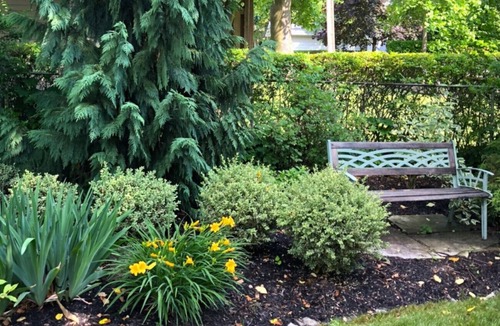 Old Town Historic District House | Parkview Cottage, Cozy Getaway