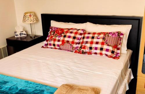 Pooraka House | ParkViewAtMontagueFarm