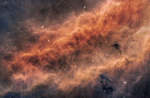 Ballarat East House | parotts on the creek.