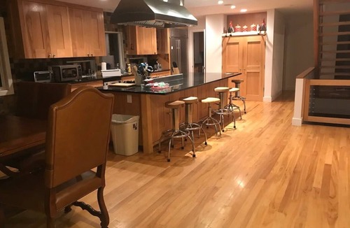 Franklin Cabin | Parrot Executive Cabin in Forest PH23