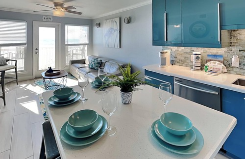 Galveston Condo | Parrot Paradise by Ryson Vacation Rentals