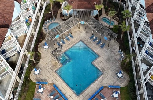 Galveston Condo | Parrot Paradise by Ryson Vacation Rentals