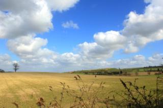 Halfway House House | Parrs cottage